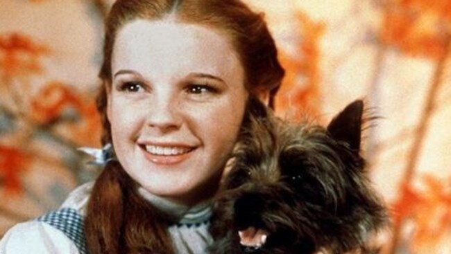 Judy Garland was 16 when she played Dorothy in The Wizard of Oz. Picture: Supplied