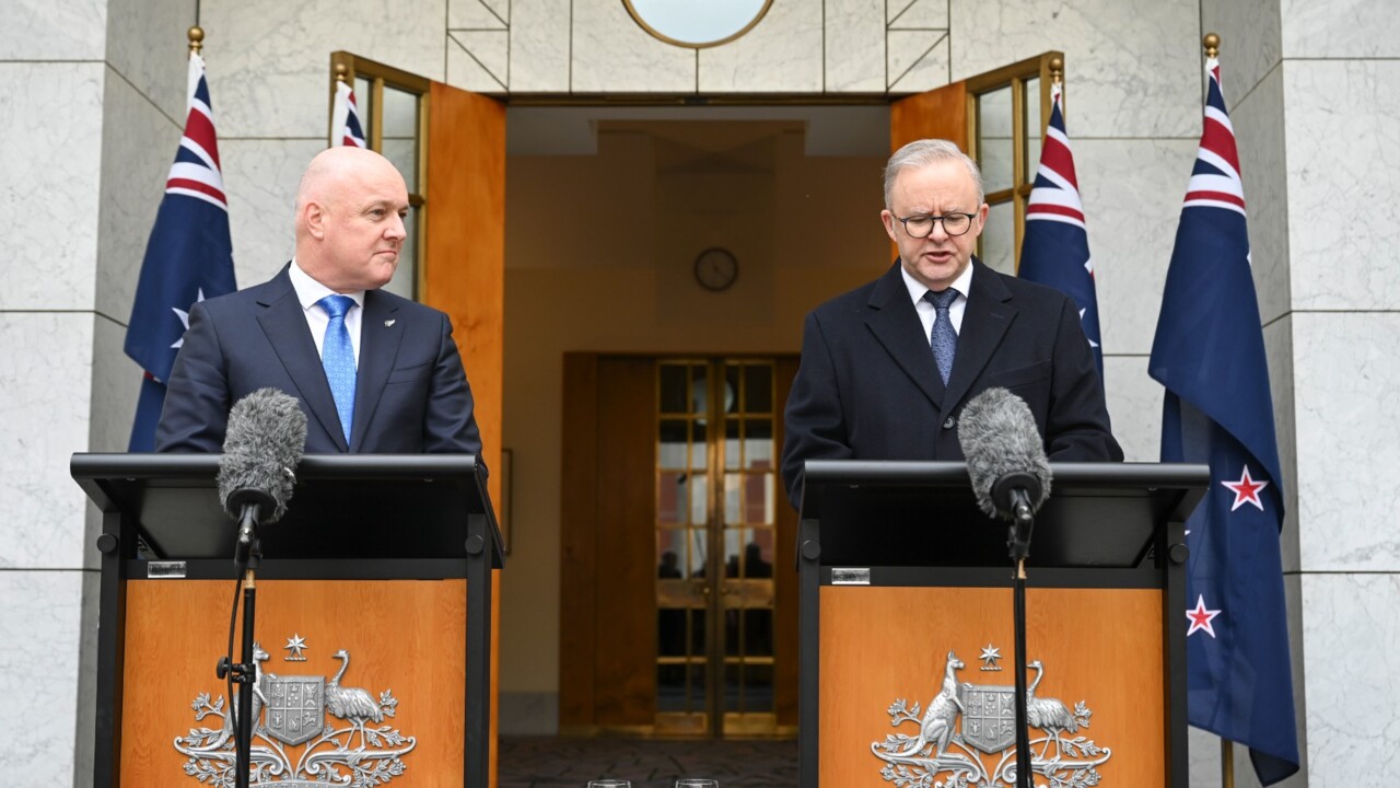 Anthony Albanese and New Zealand PM hold joint press conference