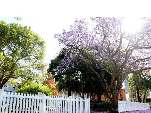 St Ursula's College in Toowoomba. Photo: Supplied