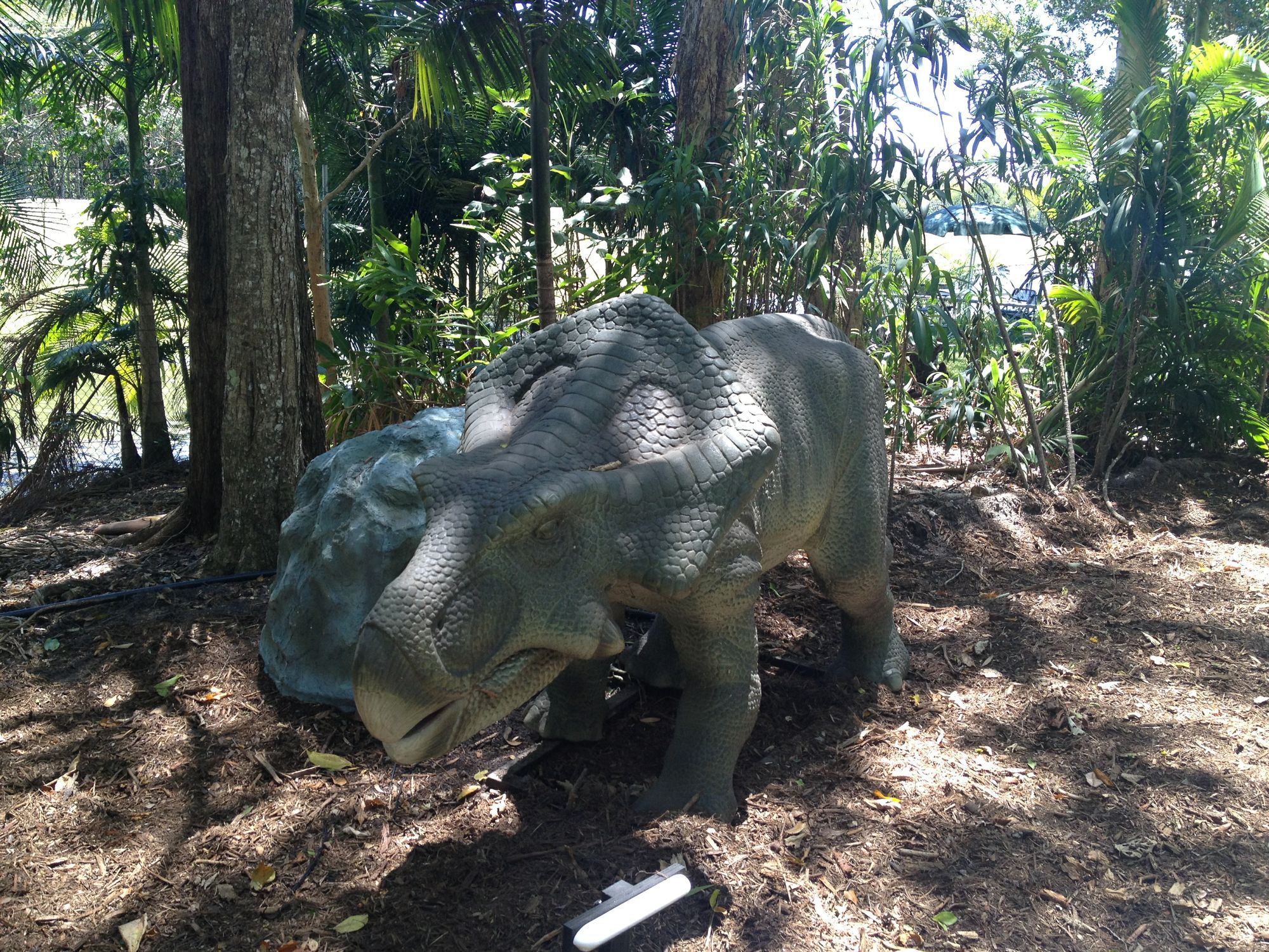 Inside the Palmersaurus. Picture: Patrick Williams