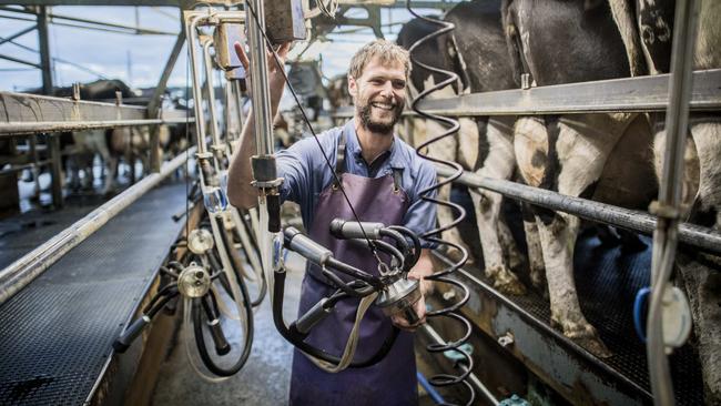 Victorian dairy farmer George Giliam is suffering because of low milk prices. Picture: Jason Edwards