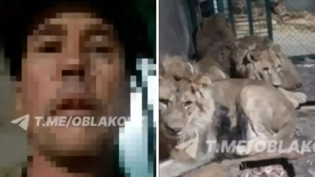 Moment zookeeper was mauled to death by lions. Picture: East2West News