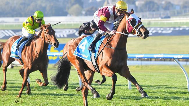 Waimarie should give her rivals something to chase when she steps out at Caulfield on Saturday. Picture: Racing Photos via Getty Images