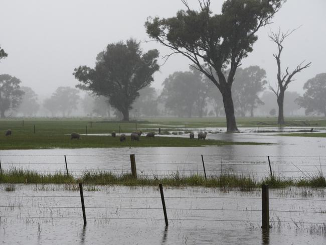 Rain and minor flooding hit near Benalla on Monday.