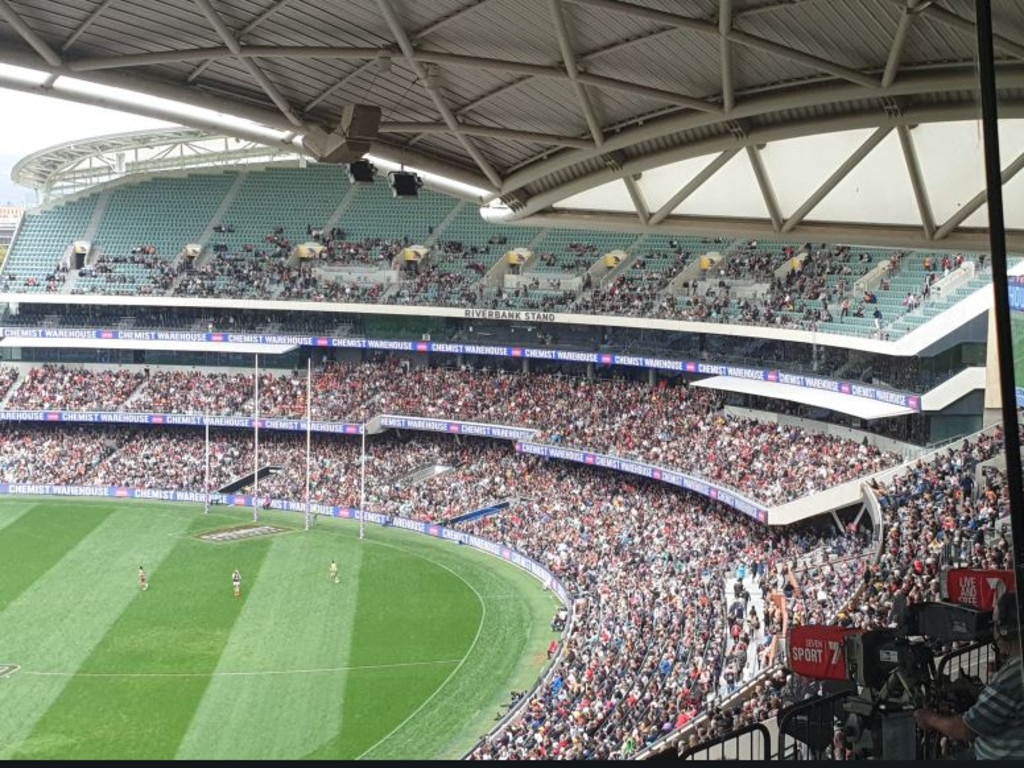 AFLW Grand Final 2019: Chaos at Adelaide Oval, Crows defeat Carlton ...