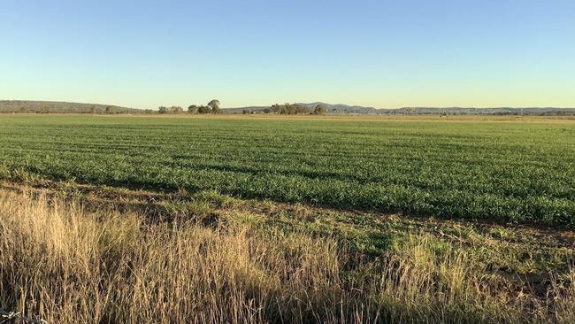 Livestock property Cedar Creek at Gogango sold at auction for $23.36 million on October 1. Picture: Contributed