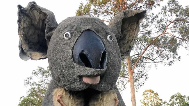 MAMMOTH MARSUPIAL: Giant Koala and Townsville Cultural Festival's Festival Director and sculptor, Dr Farvardin Daliri (OAM). Picture: contributed