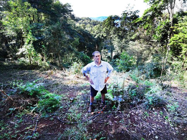 A father in the Gold Coast hinterland says his legacy of leaving a rainforest behind to his children has been destroyed after up to $250,000 worth of trees were allegedly illegally chopped down. The equivalent of eight volleyball courts worth of trees had been illegally cut down at the property in Lower Beechmont. Adam Morton surveys the rewgrowth after the damage done to the area. Picture Glenn Hampson