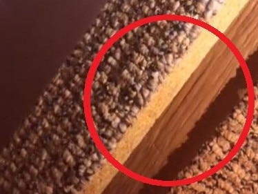 The door was found under the hotel bed.