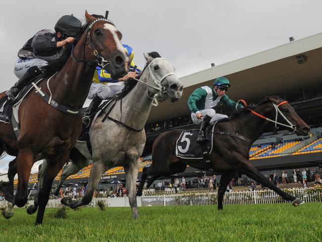 Rachel King rides Splintex to victory in the Southern Cross Turf Handicap but it was the performance of Exceedance (right) that had everyone talking.