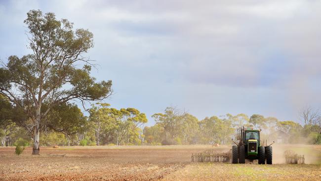 Sowing time: Australian wheat and barley prices are under pressure with favourable conditions expected to create oversupply. Picture: Zoe Phillips