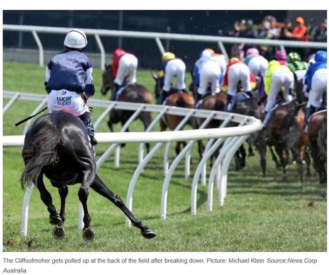 HORROR: The Cliffsofmoher goes down in yesterday's Melbourne Cup. Picture: news.com