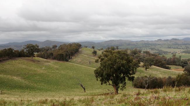 Well protected: Paddocks are rotationally grazed, allowing at least 90 per cent ground cover at all times.