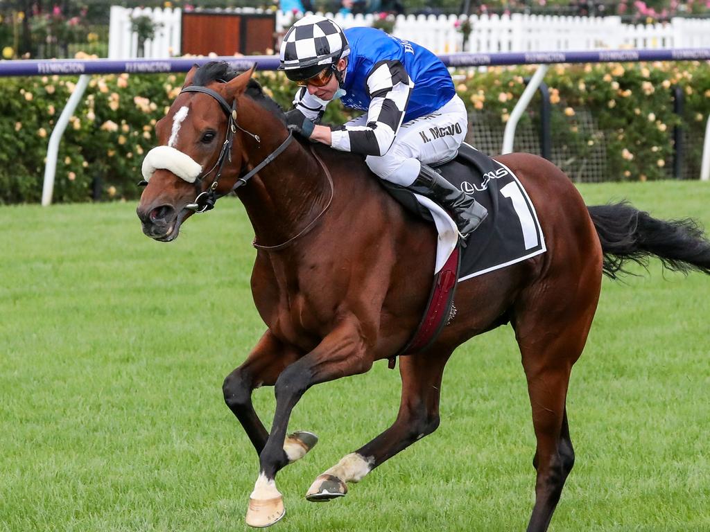 Ashrun was super impressive in the Hotham Stakes on Saturday.