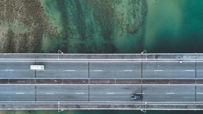 Stonefish lurk under Tallebudgera Creek bridge. Photo: Nathan Prostamo