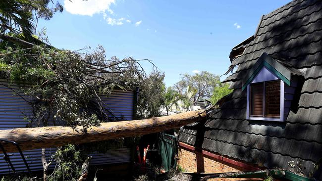 Luci Simmons and Michael Meudell’s Helensvale home was left uninhabitable after a tree went through the lunge room during the storm on Christmas Day. Pics Adam Head