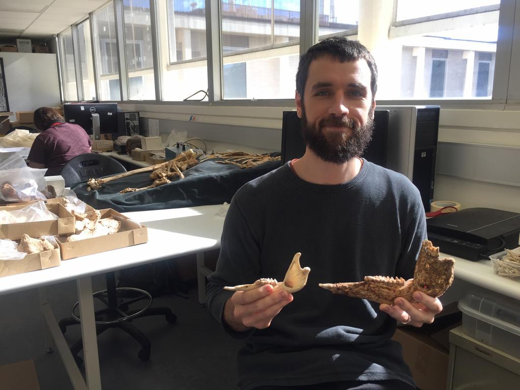 Palaeontologist Dr Isaac Kerr displays the fossil jaw of the giant kangaroo Protemnodon viator and the far smaller jaw of the largest living kangaroo, the red kangaroo. Picture: Flinders Media Team