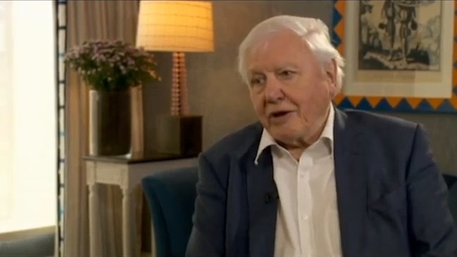 David Attenborough’s "last chance" advice for saving the planet (BBC)