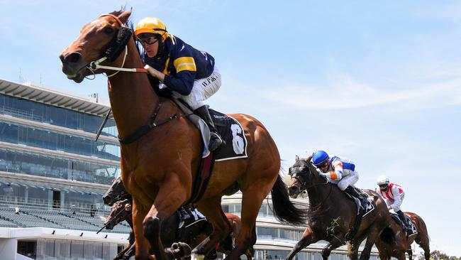 Rapid Racing — a seven-event card with races scheduled 30 minutes apart — will be held at Flemington on Friday, January 29.