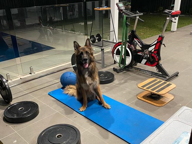 The home gym set up of Gold Coast Suns player Sam Day and his dog Max. Picture: Supplied.