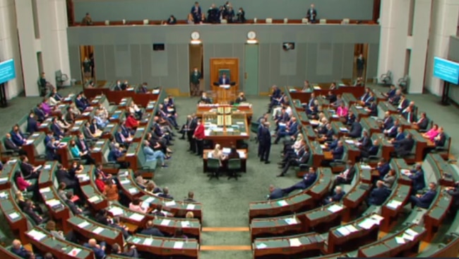 The House of Representatives passed the Climate Change Bill 89-55 votes. Picture: Sky News Australia
