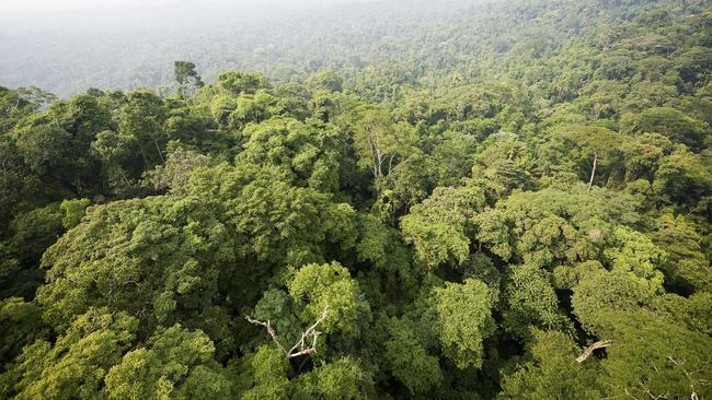 Aerial view of a sector of the Jamanxim National Forest in the Amazon state of Para. Picture: AFP