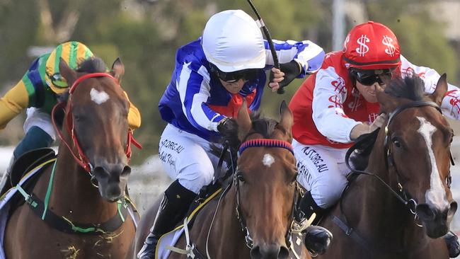 Invictus Salute has bowed out of racing on top with motherhood taking centre stage.