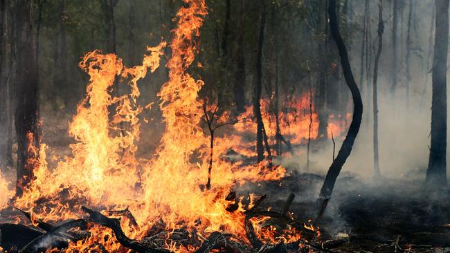 Bushfire Survivors For Climate Action took the Environmental Protection Authority to court over its climate change policy.