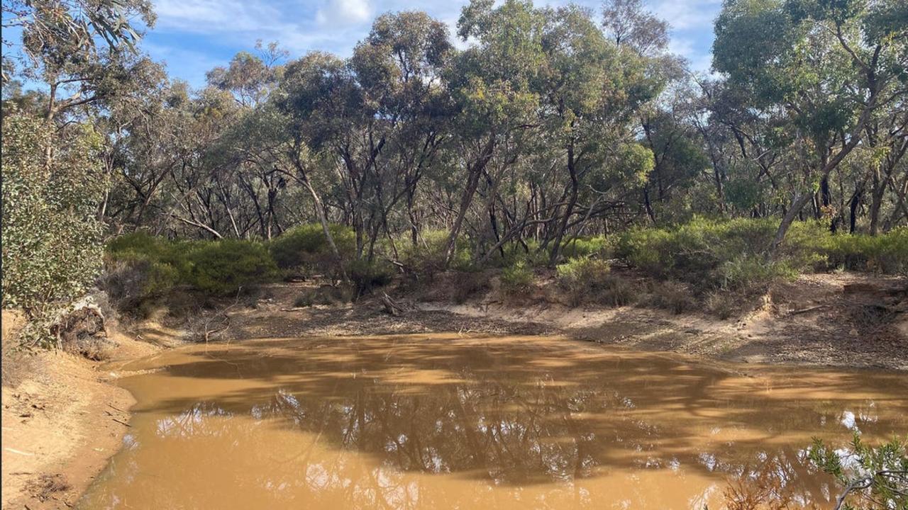 Bush blocks with dams and waterways can have a concealed trove beneath the waterline.