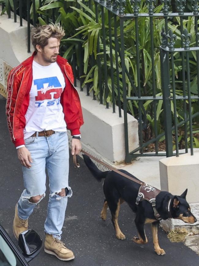 Ryan Gosling films in Sydney with some canine co-stars, for his new movie "The Fall Guy".