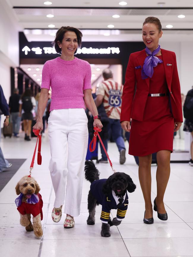 Virgin Australia plans to allow pets on board from 2025. Picture: Alex Coppel