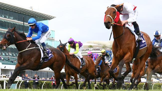 A Melbourne Cup field describes an election contest with many candidates or any competition with a big group of entrants. Picture: Getty Images