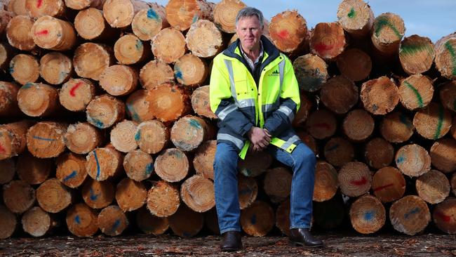 Green Triangle Forest Industries Hub chair Ian McDonnell. Picture: Tait Schmaal