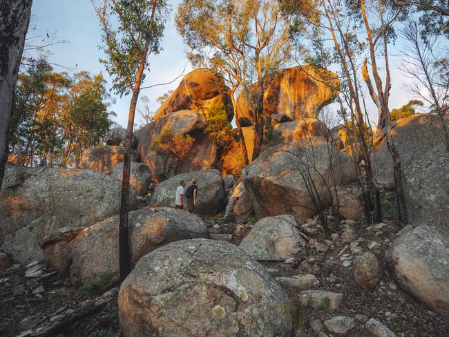 26/47Be bouldered over in Girraween National ParkYou’ll understand why they call these parts the Granite Belt when you hike and scramble your way to balancing rock on the Pyramid track in Girraween National Park.