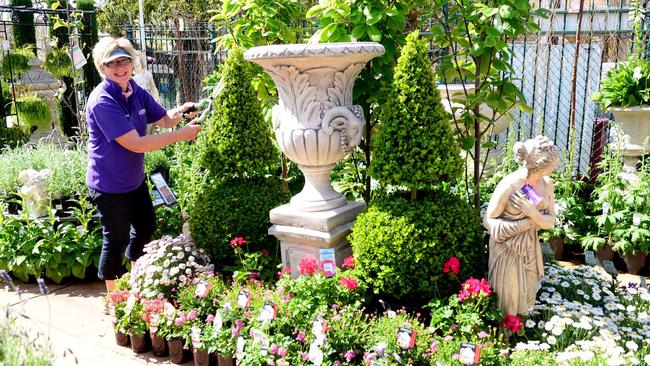 A worker tends to the garden at Elegant Outdoors. Picture: Jeremy Piper