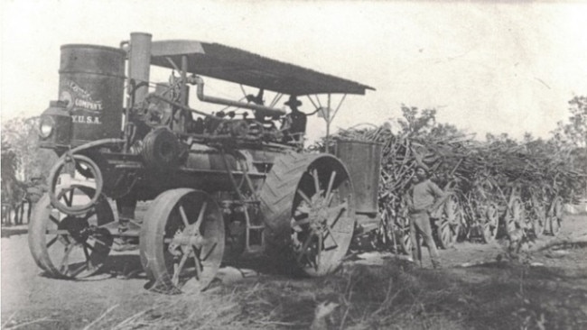 Mr Bartch with wagon loads of Cane, ca. 1920. Highlighting the region’s thriving sugar cane industry. Source: Fraser Coast Library Collection