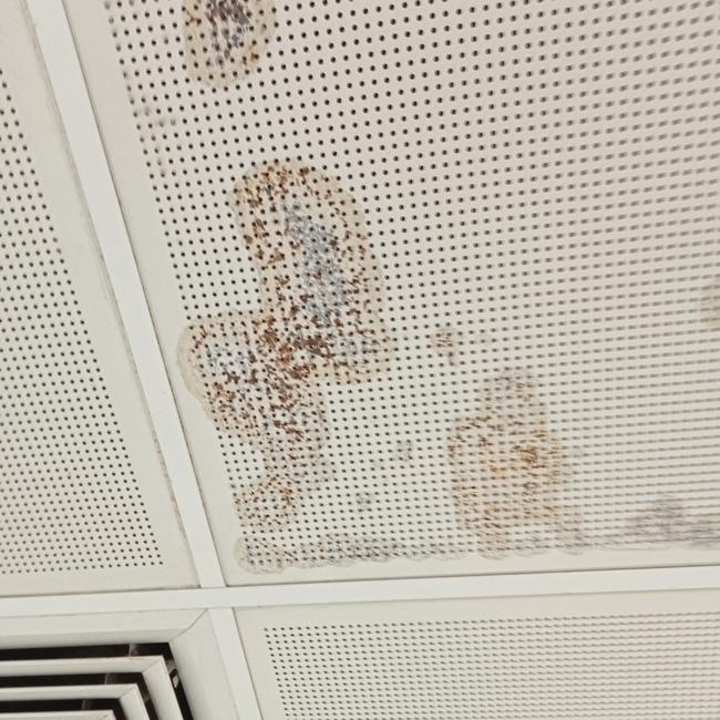 Further images of mould on ceilings have emerged.