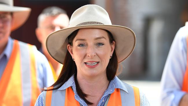 ‘It is incredibly important to women across the country, and particularly for women in regional, rural and remote areas’: Queensland MP Brittany Lauga. Picture: NCA NewsWire / Dan Peled