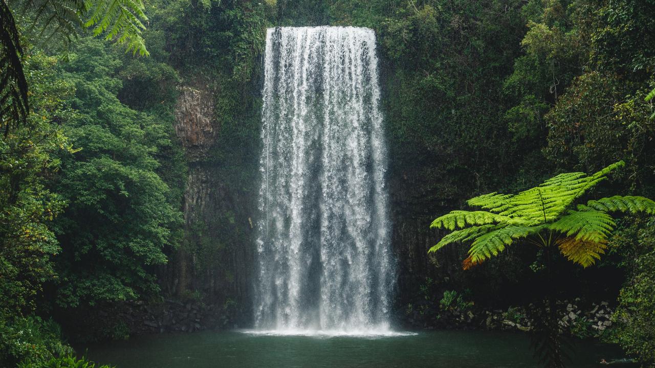 Two men failed to resurface from the water at Millaa Millaa Falls.