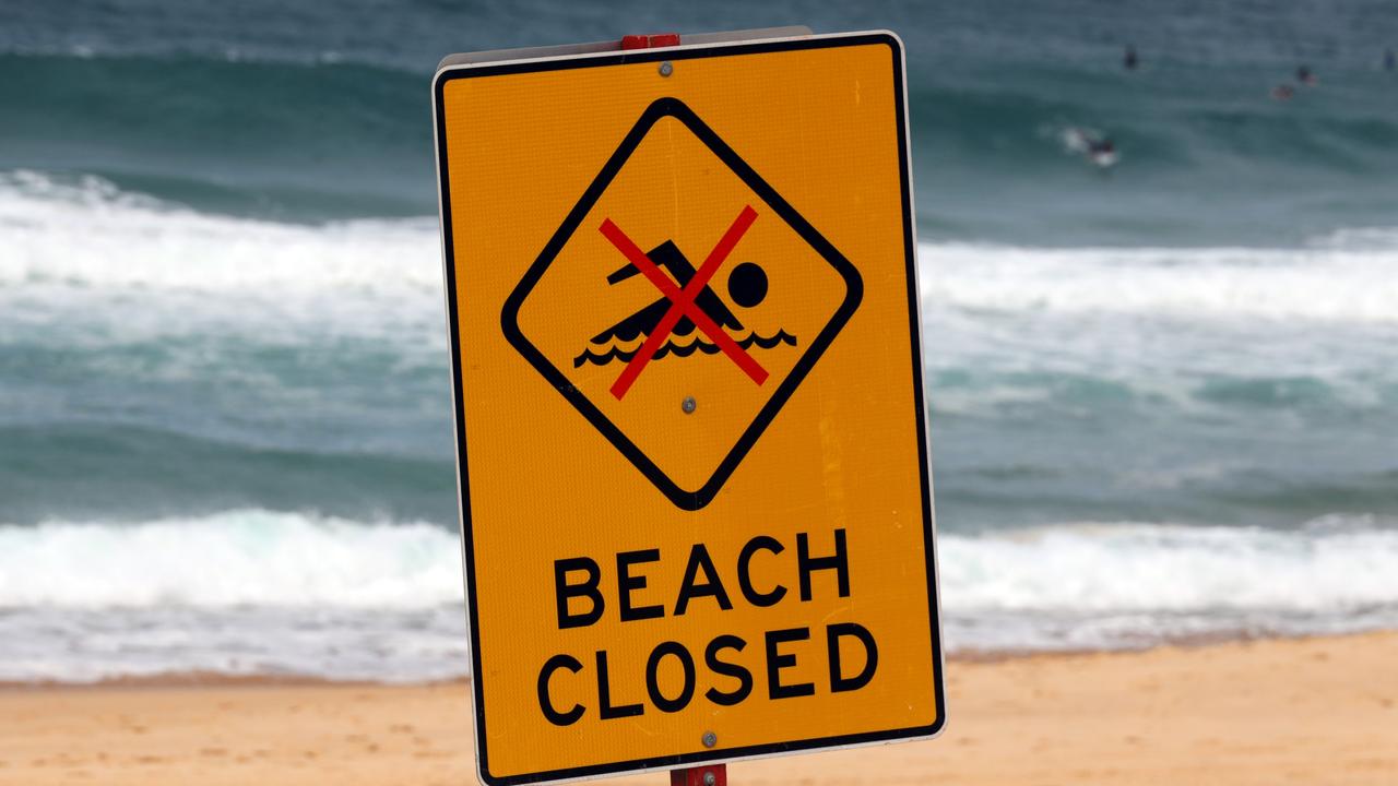 Shark bites woman’s face at popular beach