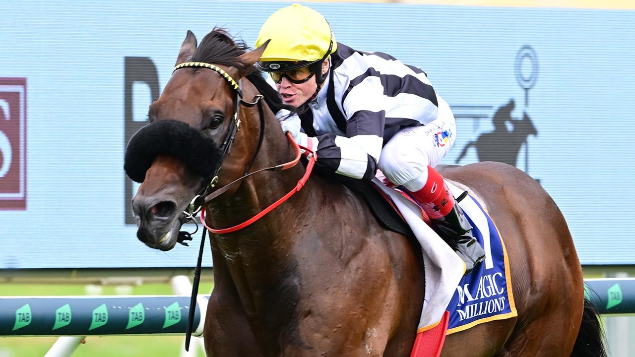 Barassi returns to his home track of the Gold Coast on Saturday. Picture: Grant Peters — Trackside Photography.