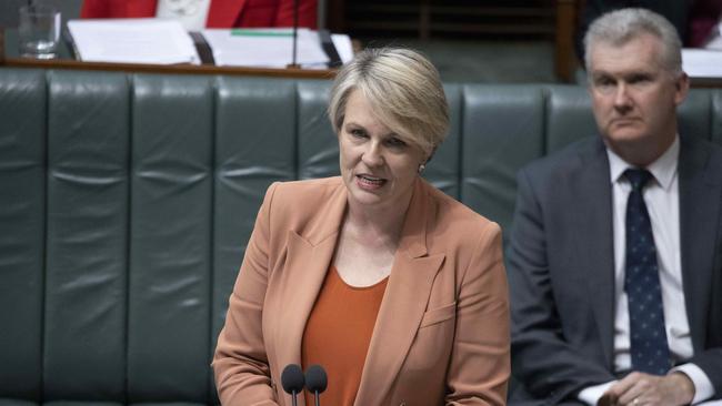 CANBERRA, AUSTRALIA – NewsWire Photos SEPTEMBER 26, 2022: Minister for the Environment and Water Tanya Plibersek during Question Time in the House of Representatives in Parliament House in Canberra. Picture: NCA NewsWire / Gary Ramage