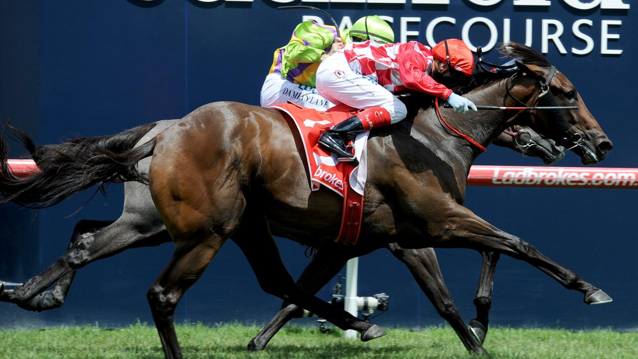 Melbourne: Comprehensive Preview Of Every Race At Caulfield | Daily ...