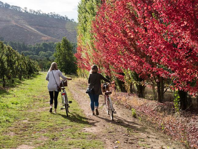 See Bright in all its autumnal glory. Picture: Visit Victoria