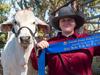 Get a moo-ve on: Rural show returns for weekend of family fun