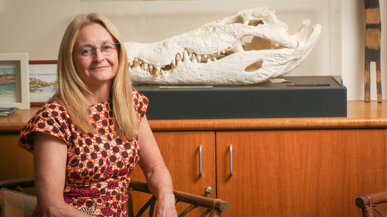 Territory Coroner Elisabeth Armitage in her chambers at the Darwin Local Court. Picture: Glenn Campbell