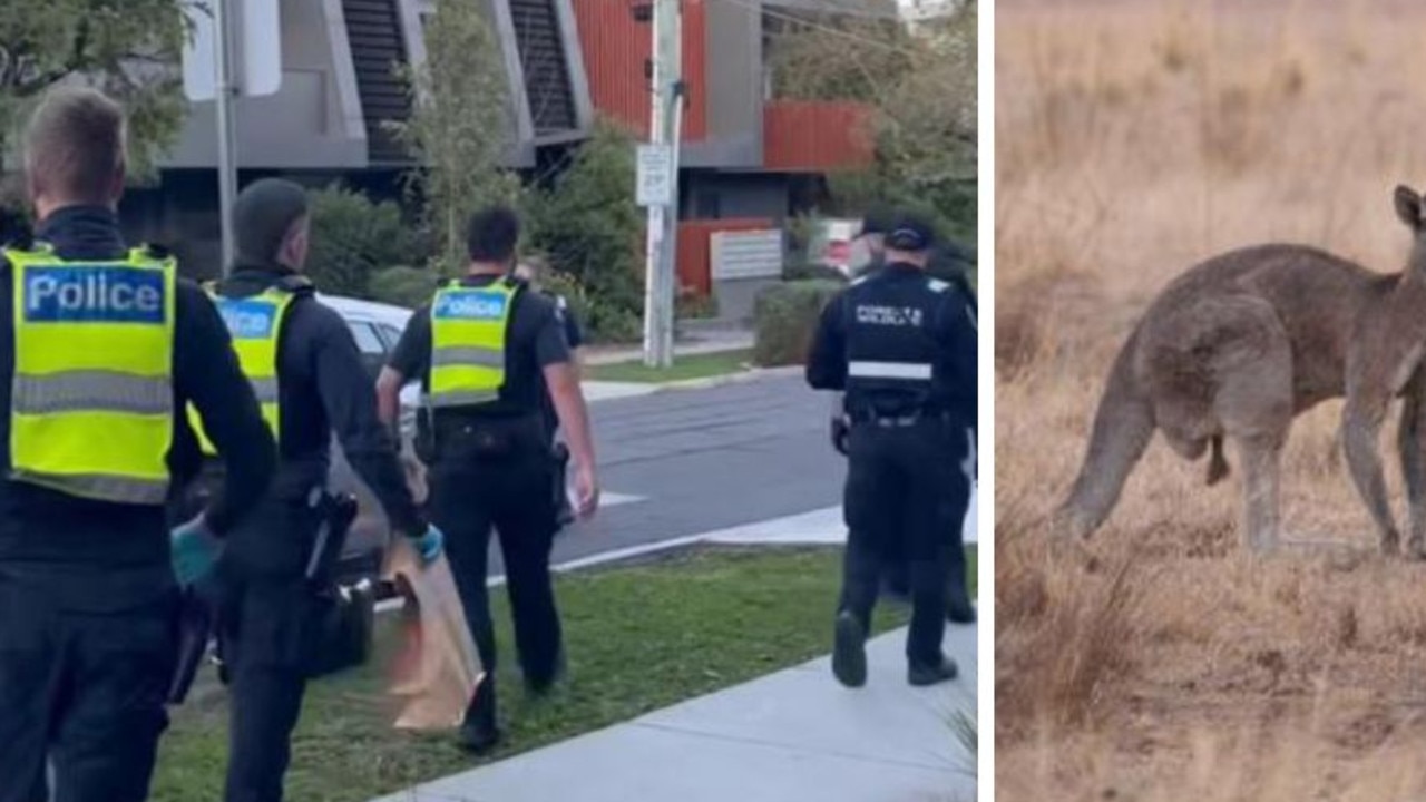 Two men charged for vile kangaroo act