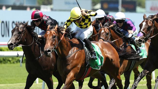 Clear Thinking will be ineligible for the Country Championships Final is she wins the Group 3 Triscay Stakes on Saturday. Picture: Jeremy Ng/Getty Images