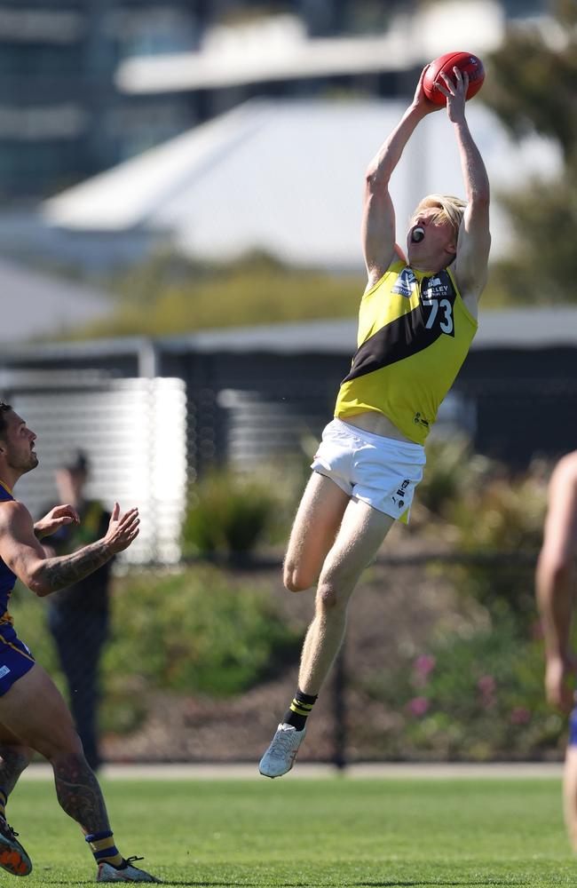 Sam Davidson rises to mark for the VFL Tigers. Picture: Rob Lawson/AFL Photos