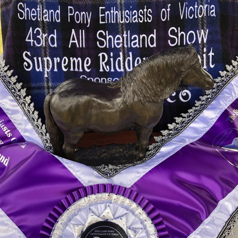 Prizes for champions at the Victorian All Shetland Show.